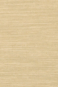 Chandra India Ind8 Beige Solid Color Area Rug