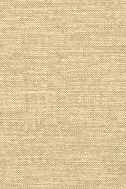 Chandra India ch-ind-8 Tan & Ivory Solid Color Area Rug