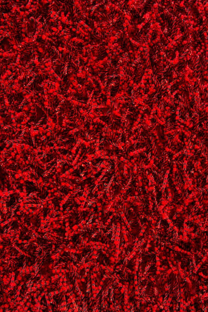 Chandra Int Int30036 Red / Black Shag Area Rug