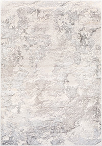 Surya Impulse Ips-2301 Charcoal, Taupe, Light Gray, Beige Area Rug