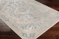 Surya Impulse Ips-2307 Deep Teal, Taupe Area Rug