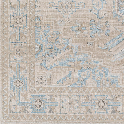 Surya Impulse Ips-2307 Deep Teal, Taupe Area Rug