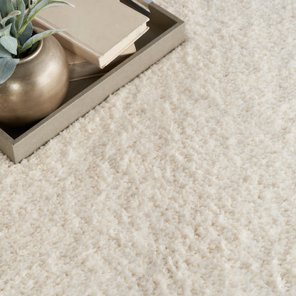 Nourison Dreamy Shag Drs05 Ivory Area Rug