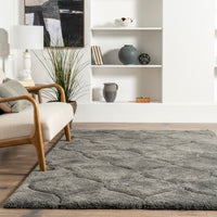 Nuloom Shaggy Elsie Nsh2013C Dark Gray Area Rug