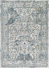 Surya Jolie Jlo-2301 Taupe, Medium Gray, Beige, Charcoal Area Rug