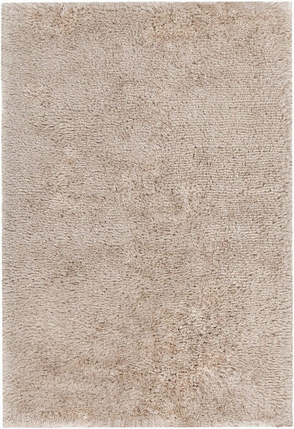 Chandra Joni Jon39301 Sand Shag Area Rug