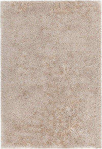 Chandra Joni Jon39301 Sand Shag Area Rug