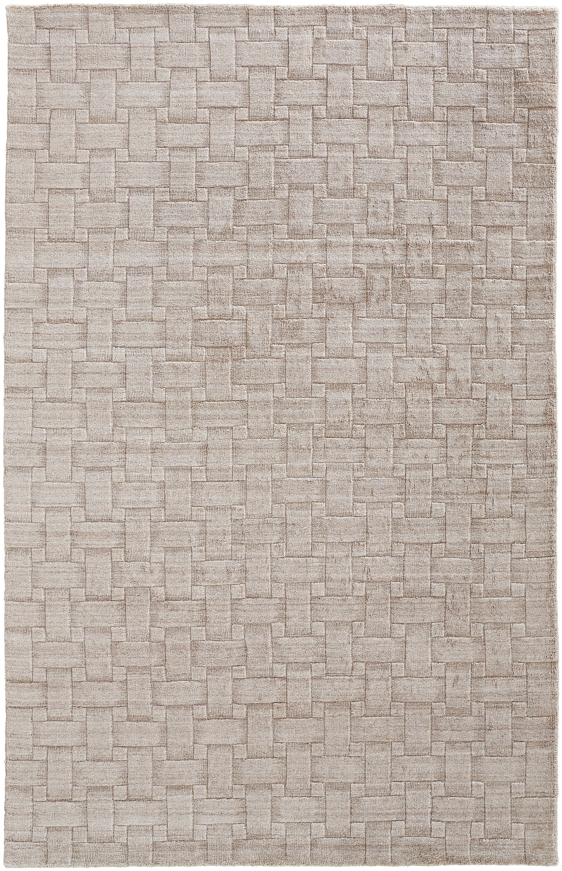 Feizy Redford 8669F Tan Area Rug