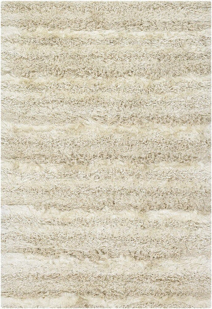 Chandra Kappa kap15501 Tan & Ivory Shag Area Rug