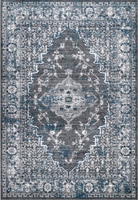 Nuloom Lucille Transitional Nlu2462A Gray Area Rug