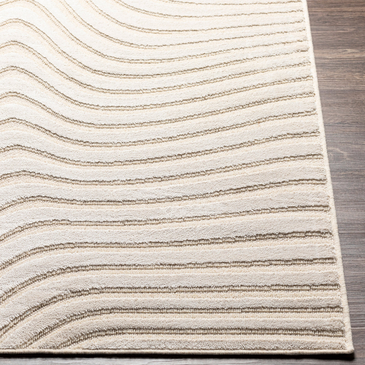 Surya Kingston Kgs-2304 Beige, Cream Rugs.