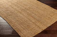 Surya Kochi Koc-2300 Brown Area Rug