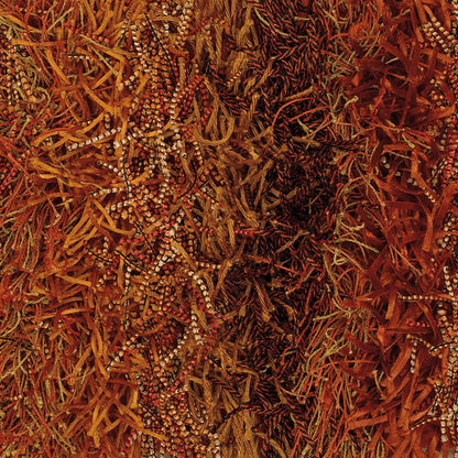 Chandra Kubu kub16500 Orange Striped Area Rug