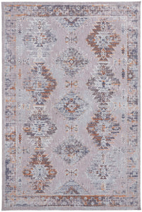 Feizy Francisco 39Gef Gray/Rust Area Rug