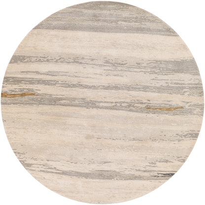 Surya Kavita Kvt-2303 Light Gray, Ivory, Medium Gray, Charcoal Area Rug