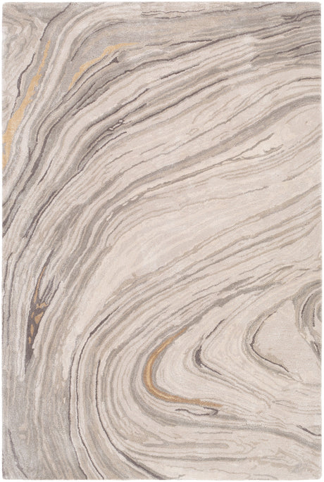 Surya Kavita Kvt-2304 Light Gray, Ivory, Medium Gray, Charcoal Rugs.