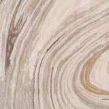 Surya Kavita Kvt-2304 Light Gray, Ivory, Medium Gray, Charcoal Rugs.