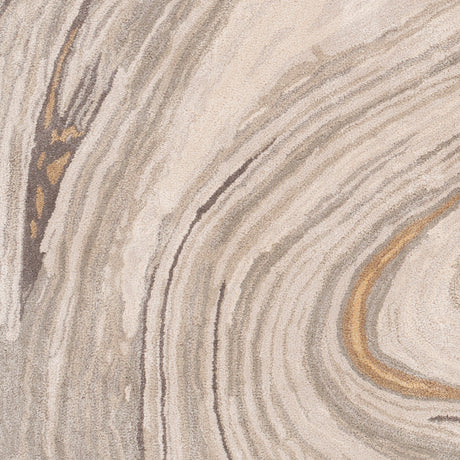 Surya Kavita Kvt-2304 Light Gray, Ivory, Medium Gray, Charcoal Rugs.