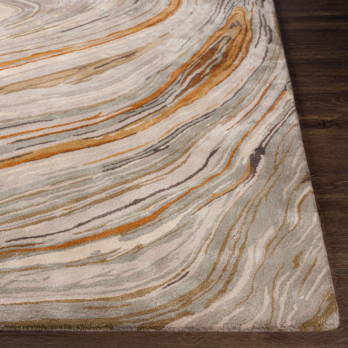 Surya Kavita Kvt-2311 Charcoal, Dark Brown, Burnt Orange, Medium Gray Rugs.