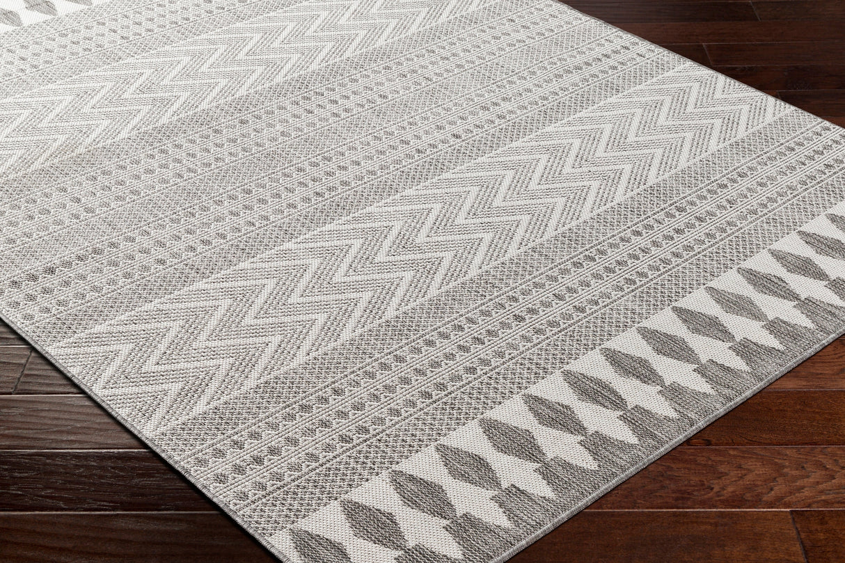 Surya Long Beach Lbh-2329 Beige Rug.
