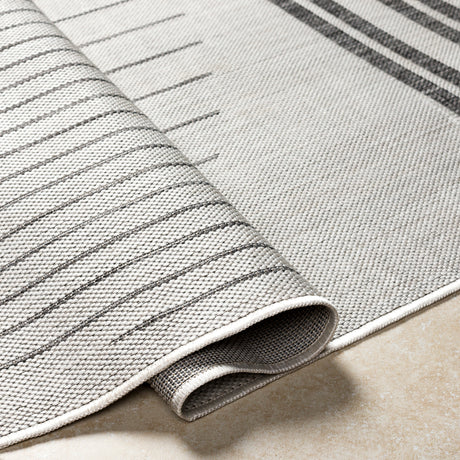 Surya Long Beach Lbh-2334 Beige Rug.