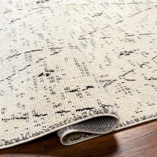 Surya La Boheme Lhb-2304 Beige Rug.