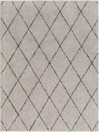 Surya Lykke Lkk-2302 Grey Area Rug