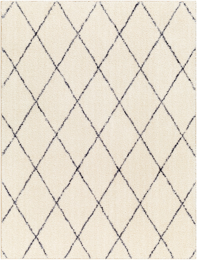 Surya Lykke Lkk-2306 Beige Rug.