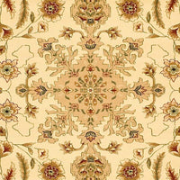 Safavieh Lyndhurst Lnh211A Ivory / Tan Area Rug