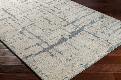 Surya Louvre Lou-2307 Medium Gray, Cream Area Rug