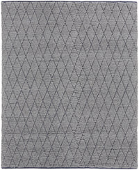 Feizy Thayer 8648F Gray/Navy Area Rug