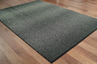 Oriental Weavers Sphinx Luna 2067B Black / Ivory Area Rug