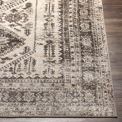 Surya Lavadora Lvr-2301 Dark Brown, Medium Gray, Camel, Beige Area Rug