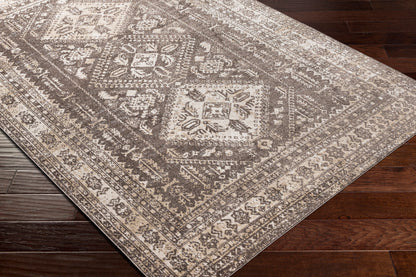 Surya Lavadora Lvr-2302 Dark Brown, Medium Gray, Taupe, Beige Area Rug