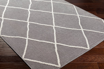 Surya Lyna Lya-2304 Grey Area Rug