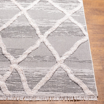 Surya Morocotton Mct-2306 Grey Area Rug