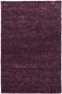 Chandra Mebec Meb23401 Purple Shag Area Rug