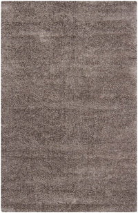 Chandra Mebec Meb23403 Silver Shag Area Rug