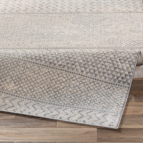 Surya Monaco Moc-2306 Silver Gray, Medium Gray, Cream Rugs.