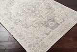 Surya Monaco Moc-2315 Silver Gray, Medium Gray, Cream Rugs.