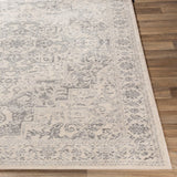 Surya Monaco Moc-2315 Silver Gray, Medium Gray, Cream Rugs.
