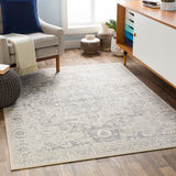 Surya Monaco Moc-2315 Silver Gray, Medium Gray, Cream Rugs.