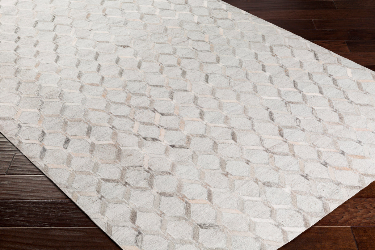 Surya Medora Mod-1010 Charcoal, Gray Rug.