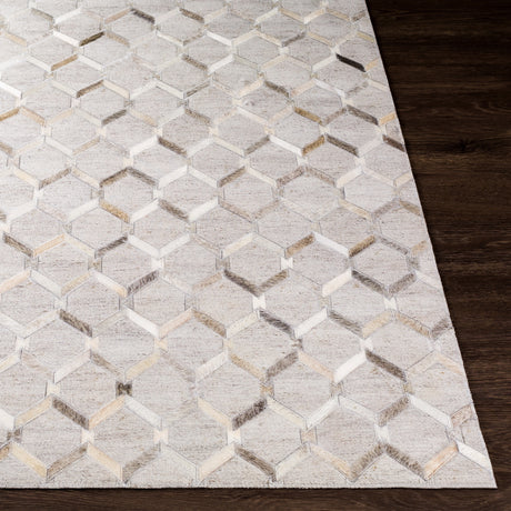 Surya Medora Mod-1010 Charcoal, Gray Rug.