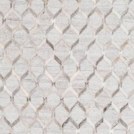 Surya Medora Mod-1010 Charcoal, Gray Rug.