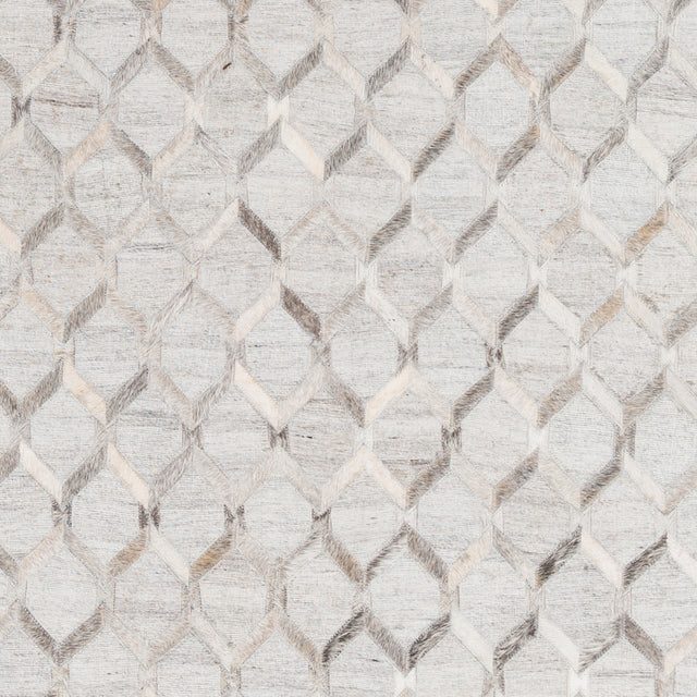 Surya Medora Mod-1010 Charcoal, Gray Rug.