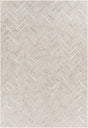 Surya Medora Mod-1026 Taupe, Medium Gray, Oatmeal, Tan Rugs.