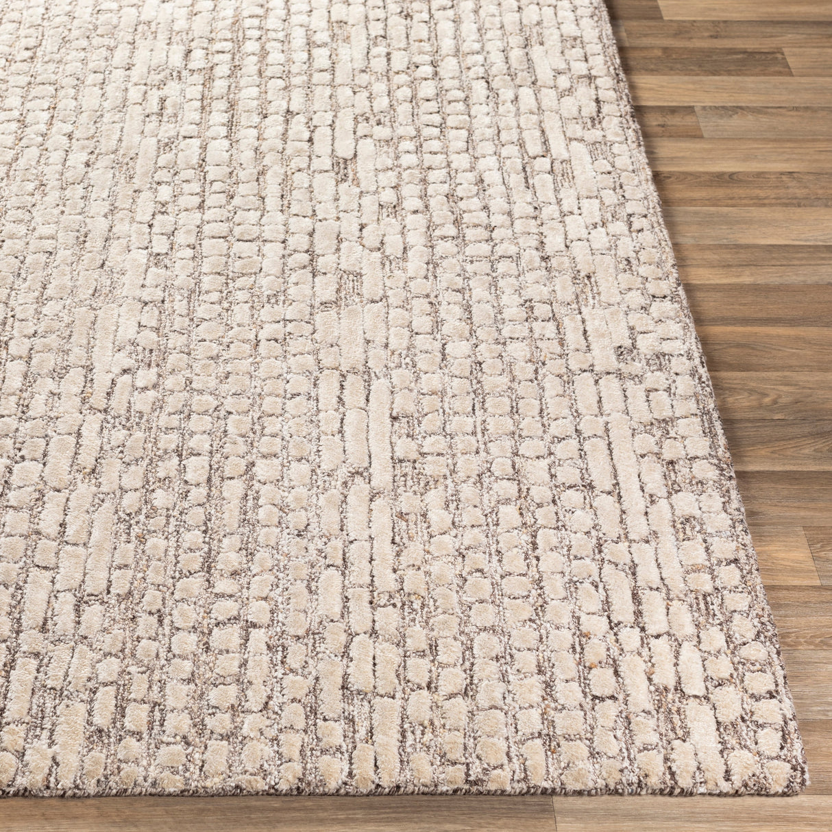 Surya Montclair Mtc-2304 Dark Brown, Ivory, Beige, Khaki Rugs.