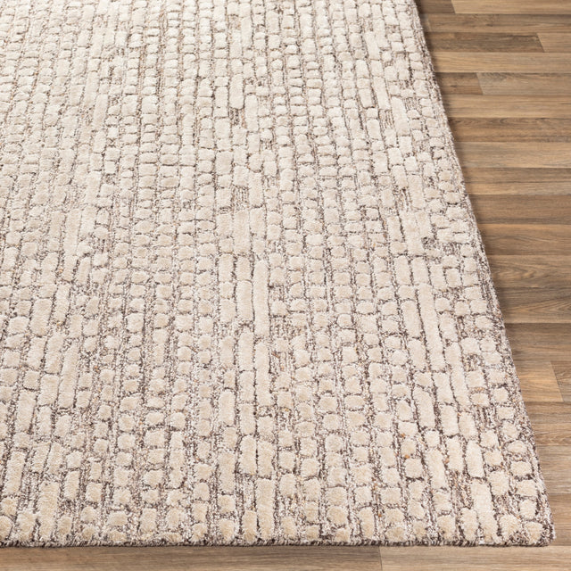 Surya Montclair Mtc-2304 Dark Brown, Ivory, Beige, Khaki Rugs.