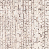 Surya Montclair Mtc-2304 Dark Brown, Ivory, Beige, Khaki Rugs.